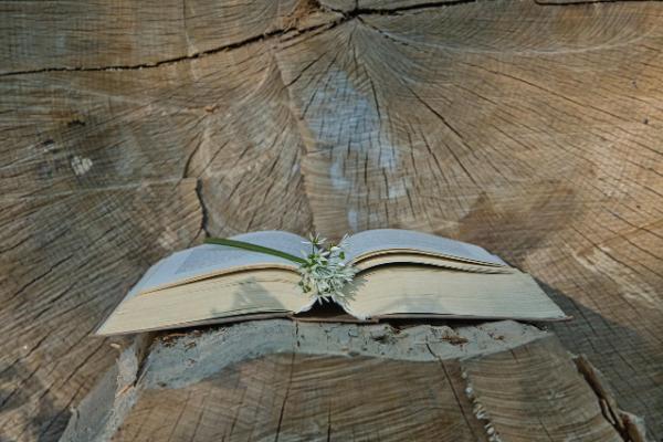 Caopan Shou Philosophy: A Path to Harmony, Balance, and Simplicity